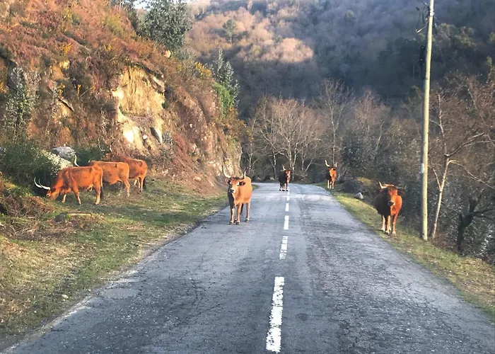 Hébergement de vacances Garcia *